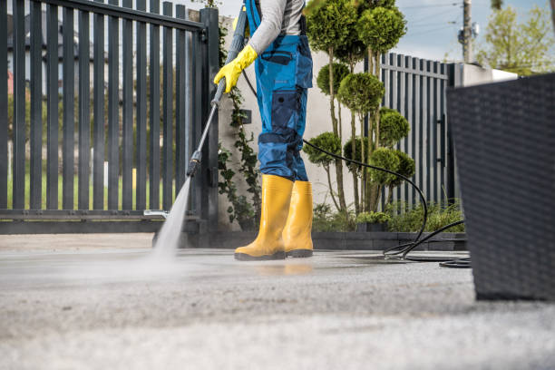 Best Sidewalk and Walkway Cleaning  in Dranesville, VA